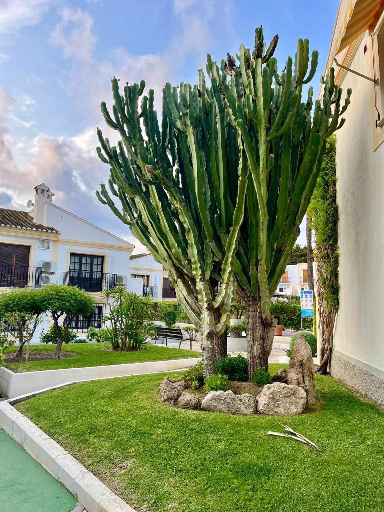 Apartamento Vera Coast 123 Playas de Vera Eksteriør billede